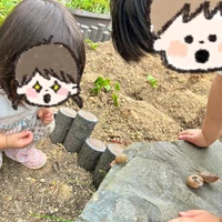 画像310