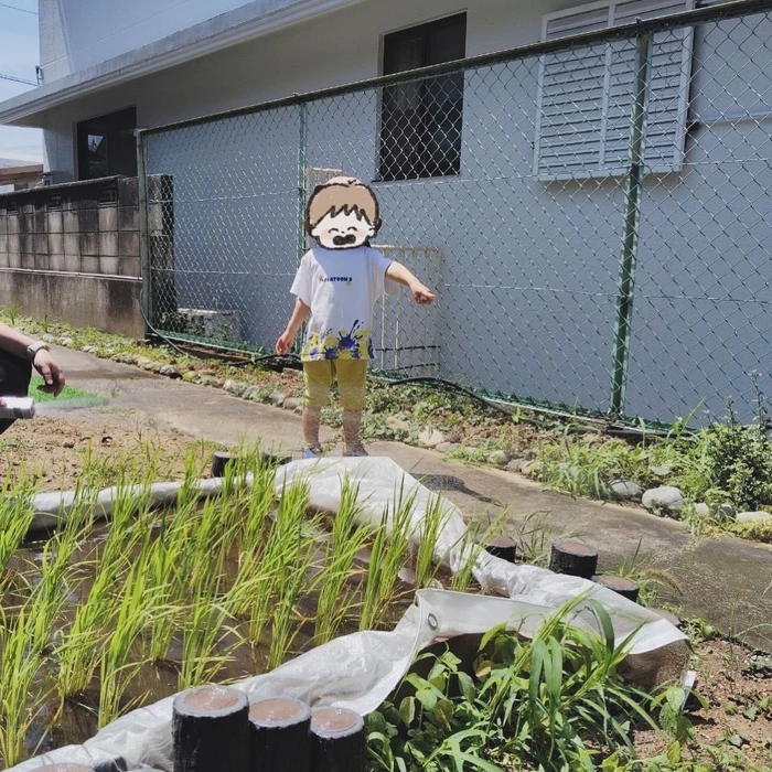 画像405