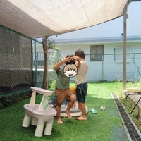 画像661