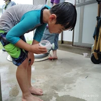 画像731