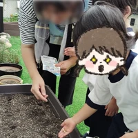 画像900