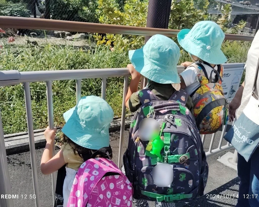 画像991
